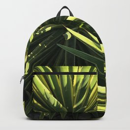 Two Succulents in Shadow and Sunlight Backpack | Uniquesucculent, Artsysucculent, Modernsucculent, Chicsucculent, Twosucculents, Succulentartphoto, Succulentartgifts, Epicsucculent, Photo, Trendysucculent 