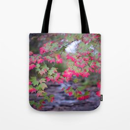 Autumn Riches - Fall Leaves Over Running Water, Great Head Trail, Acadia National Park, Maine, USA Tote Bag
