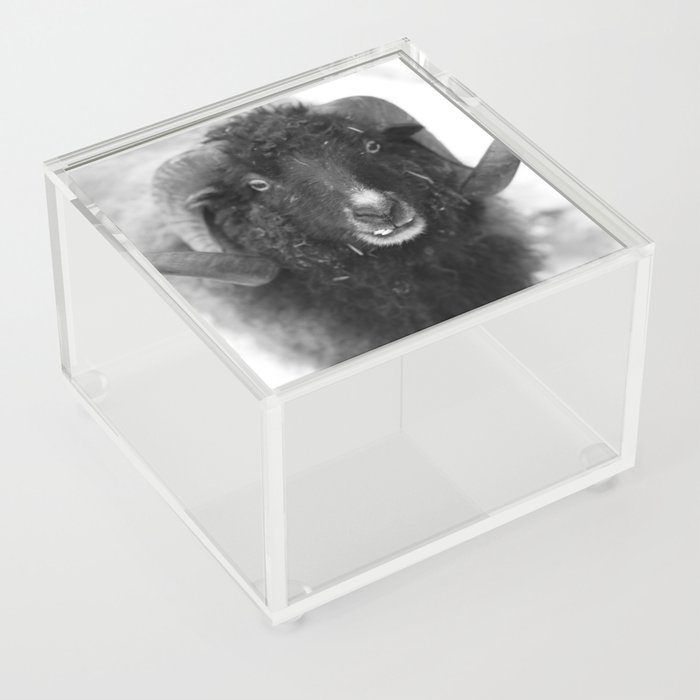 The black sheep, black and white photography Acrylic Box