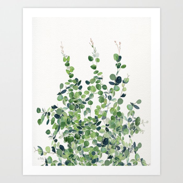 Eucalyptus  Art Print