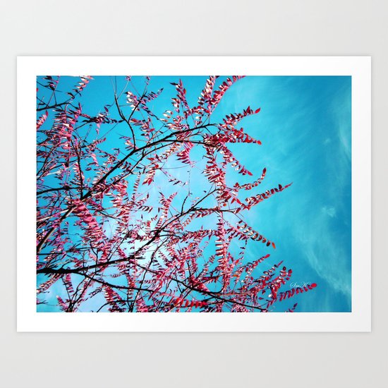 Cyan Sky Art Print