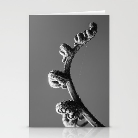 Fern 2 Stationery Cards