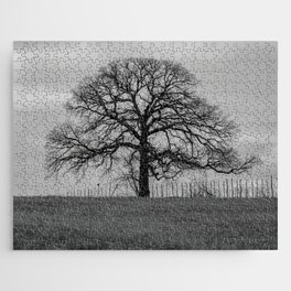 Spooky leafless tree on fence line silhouetted on the horizon against a gloomy sky Jigsaw Puzzle