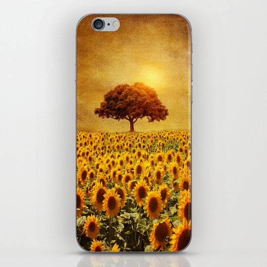 lone tree & sunflowers field (II) iPhone & iPod Skin