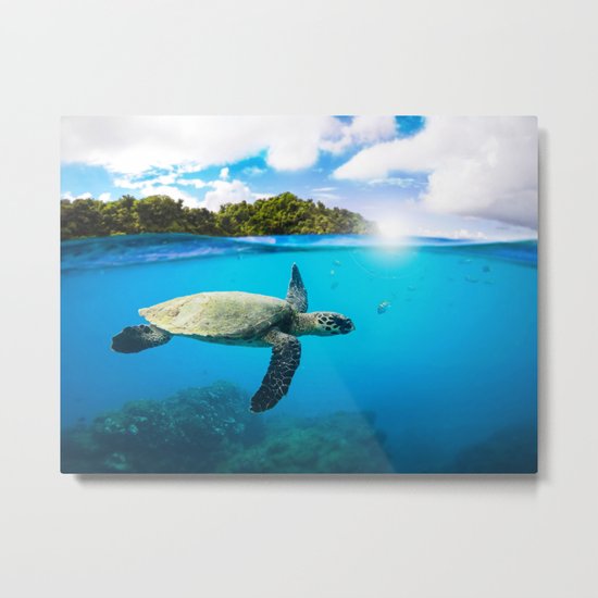 Tropical Paradise Metal Print