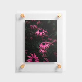 Pink flowers Floating Acrylic Print