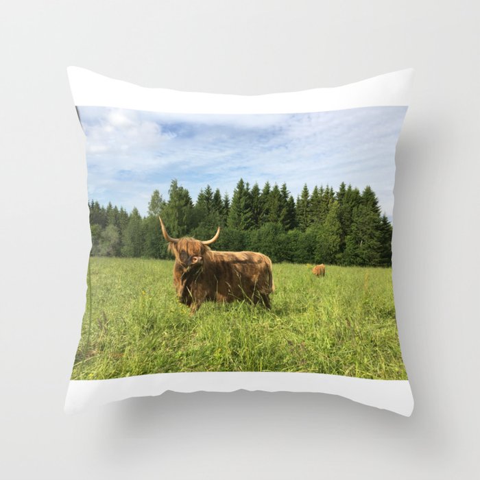 Fluffy Highland Cattle Cow 1181 Throw Pillow