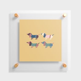 Cute dachshund dogs Floating Acrylic Print