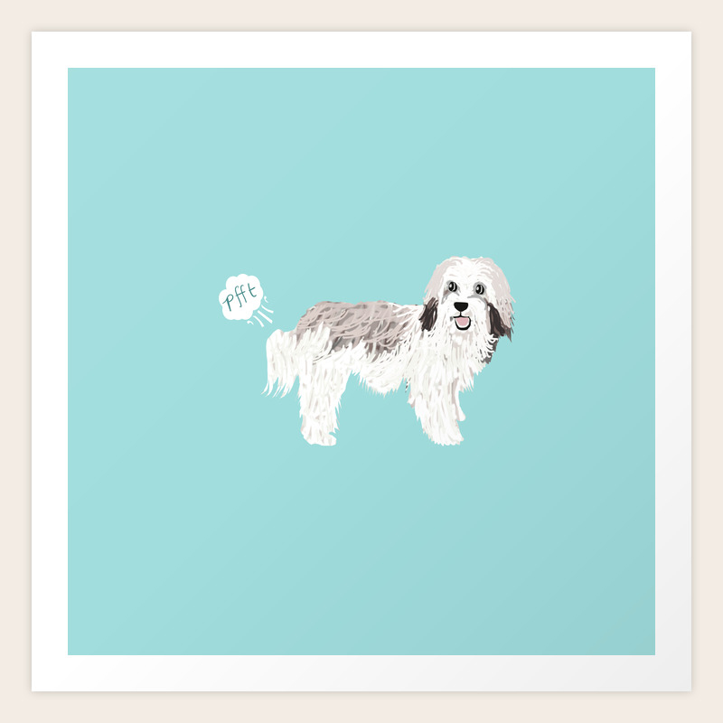 havanese gifts