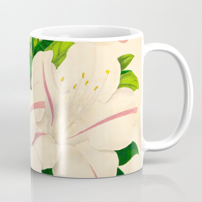 Azalea Alba Magnifica (Rhododendron indica) Vintage Botanical Floral Scientific Illustration Coffee Mug