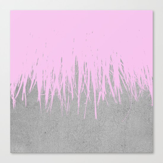 Concrete Fringe Blush Canvas Print
