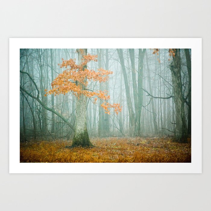 Autumn Woods Art Print