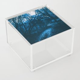Haunted forest Acrylic Box