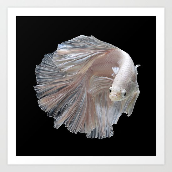The Game Fish Art Print
