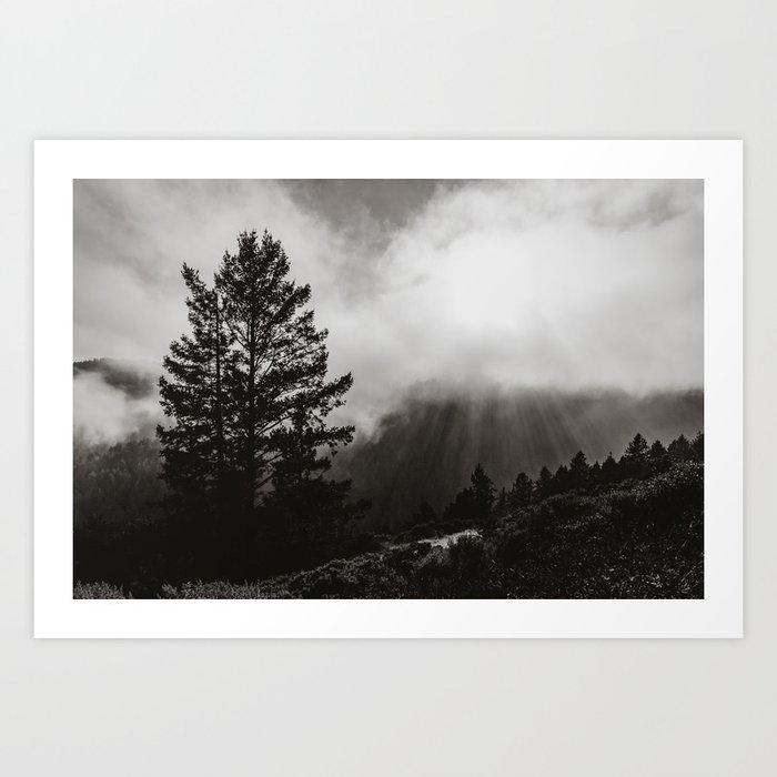 Misty Forest in Black and White Art Print