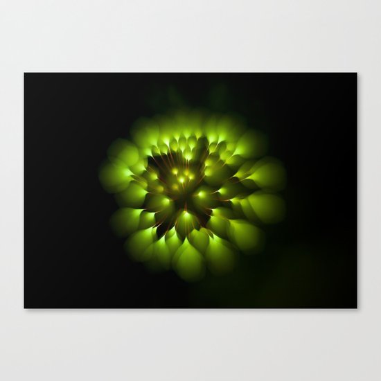 Efflorescence 4 Canvas Print