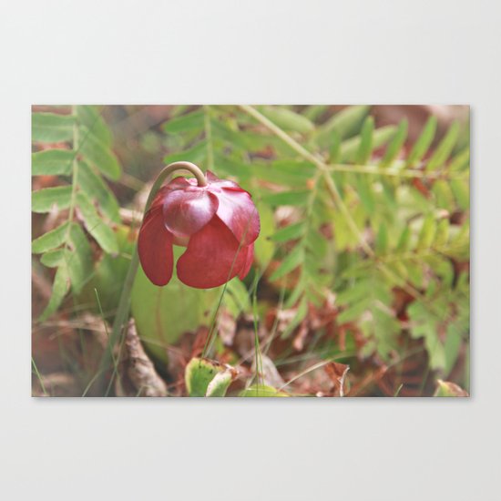 Meat Eater Canvas Print
