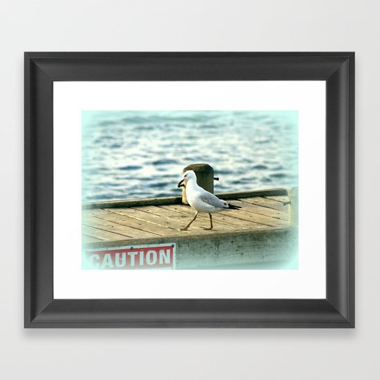 Tri-Angular Beak Framed Art Print