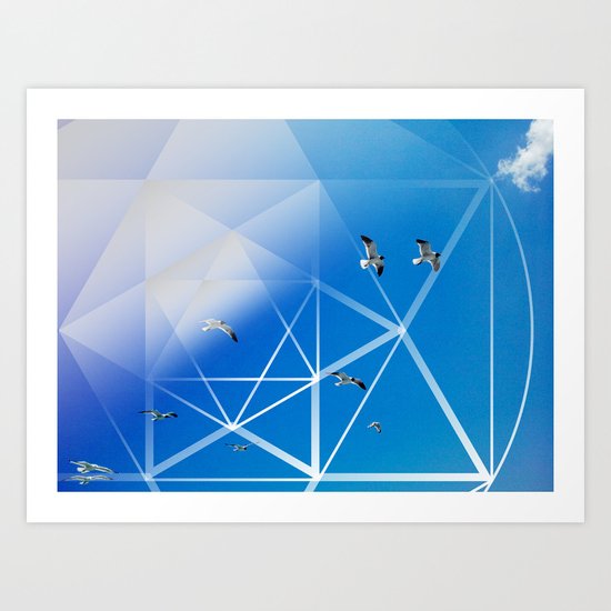 Gulls in Hexagram Flight Art Print
