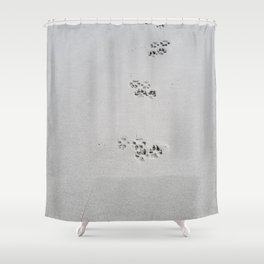 Dog Beach Shower Curtain