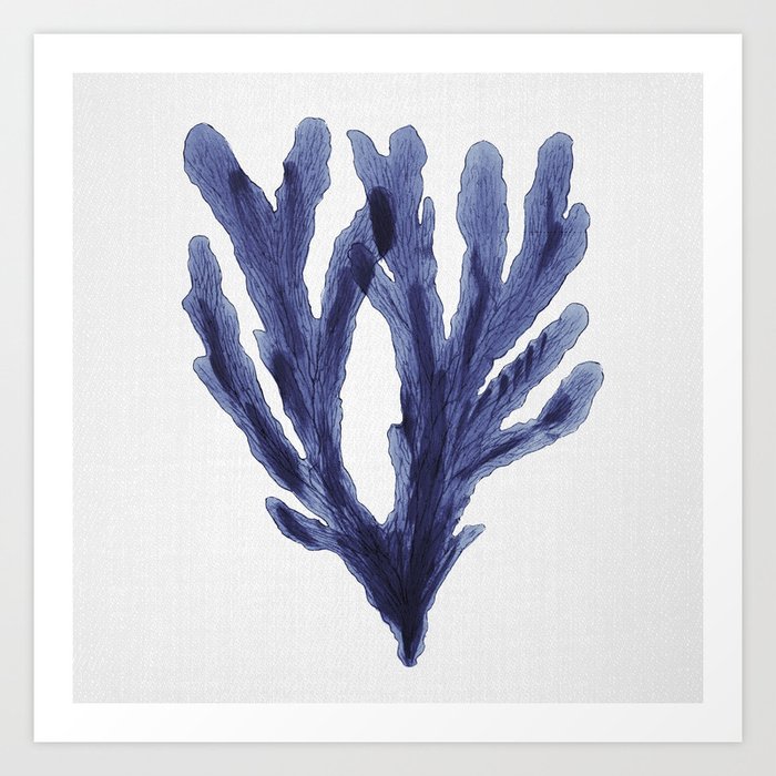 Seaweed 6 Art Print