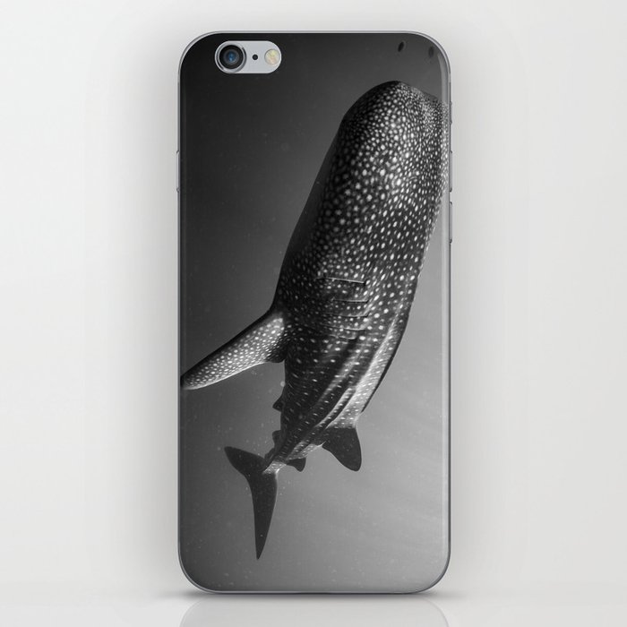 Whale shark black white iPhone Skin