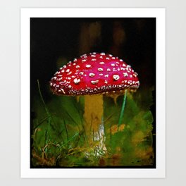 Amanita Muscaria Mushroom Vintage, Cute Amanita Muscaria Botanical Art, Original Fly Amanita Mushroom, Muscimol Mushroom Lover Art Print