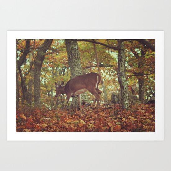 Chasing Deer Art Print