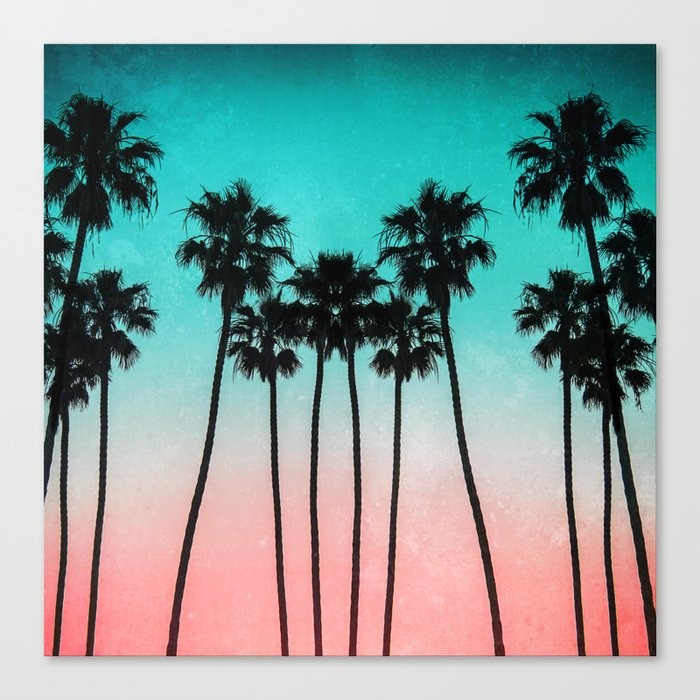 Palm Trees 3 Canvas Print