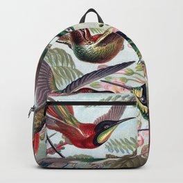 Hummingbirds Backpack