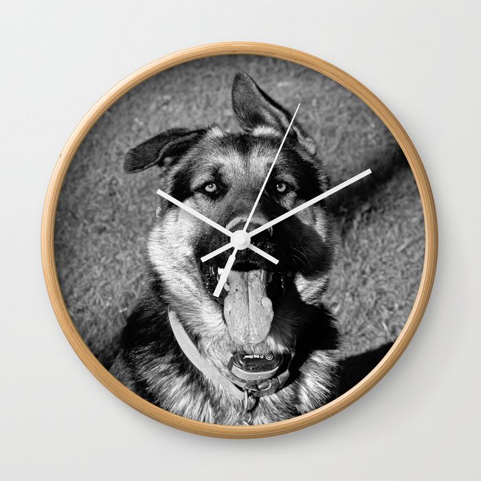 A Dog's Stunning Stare Wall Clock