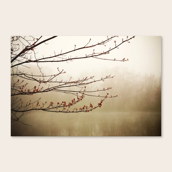 Go Fish Canvas Print