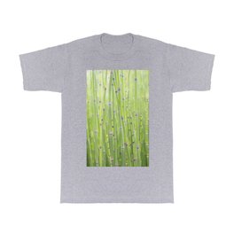 Bamboo pattern art print- bright green mindfulnes - azian plant - botanical nature photography T Shirt | Plant, Nature, Asian, Japan, Stripes, Green, Cheerful, Peridot Green, Travel Photography, Color 