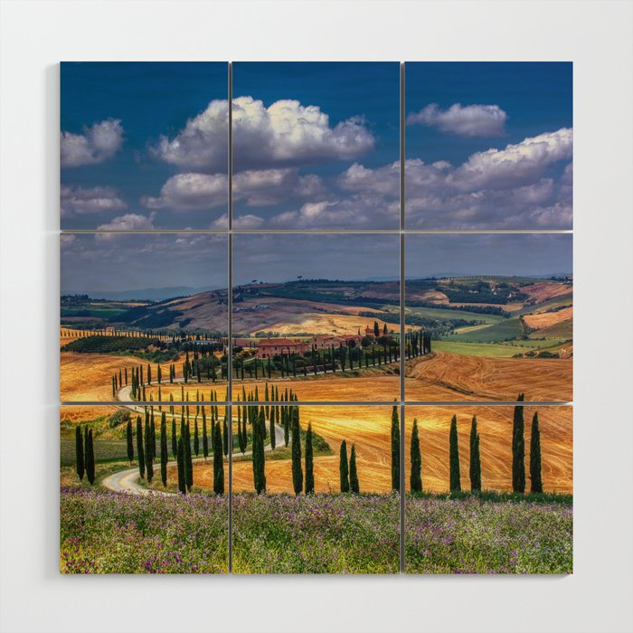 Cypress trees and meadow with typical tuscan house Wood Wall Art