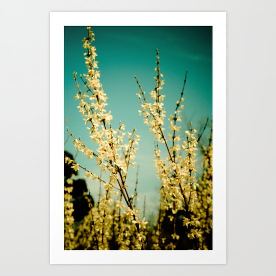 Rapturous Art Print