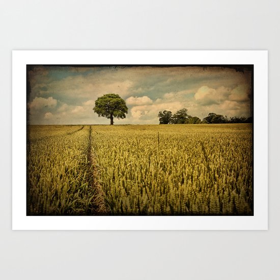A Summers Walk Art Print