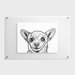 Sassy Chihuahua Pop Art Drawing, Black and White Line Drawing of a Chihuahua Floating Acrylic Print