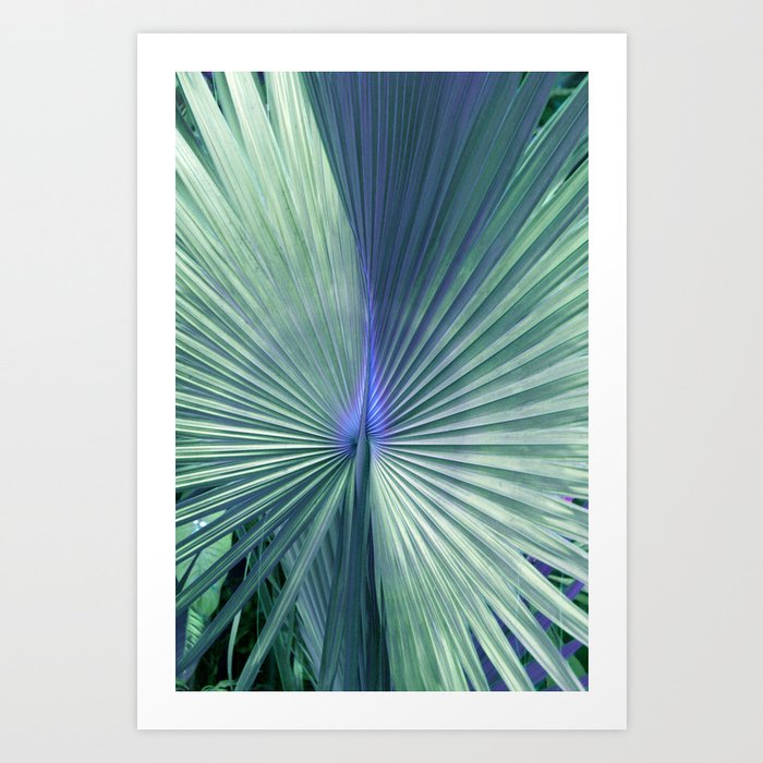 peacock palm Art Print