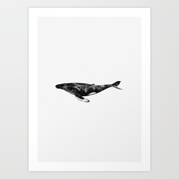 Discover the motif WHALE by Andreas Lie as a print at TOPPOSTER