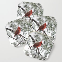 Wet Snow Cardinal (square) Coaster