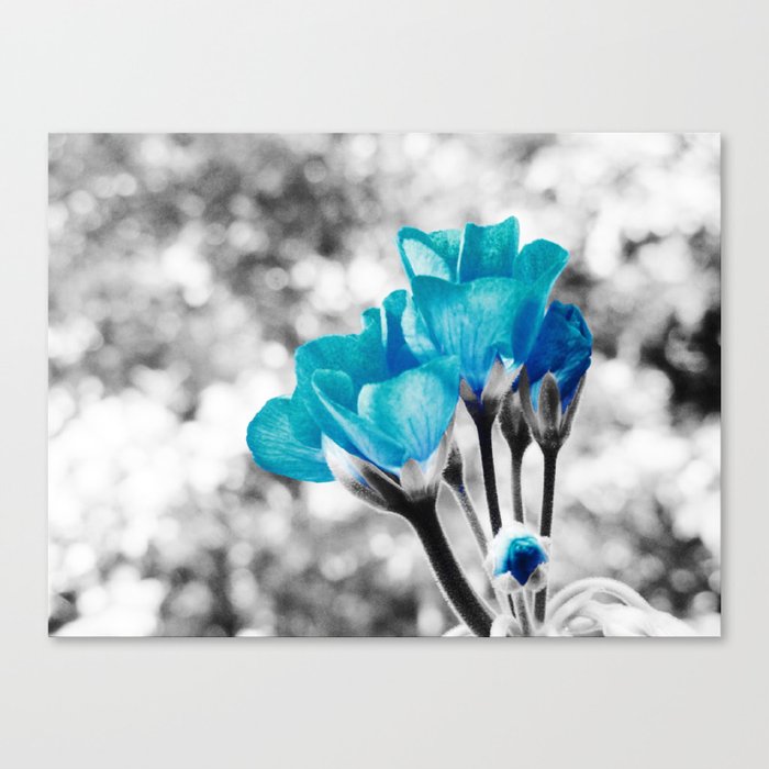 Turquoise FloWERS Pop of Color Canvas Print