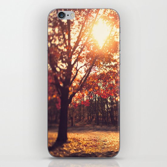 Autumn Sun iPhone & iPod Skin