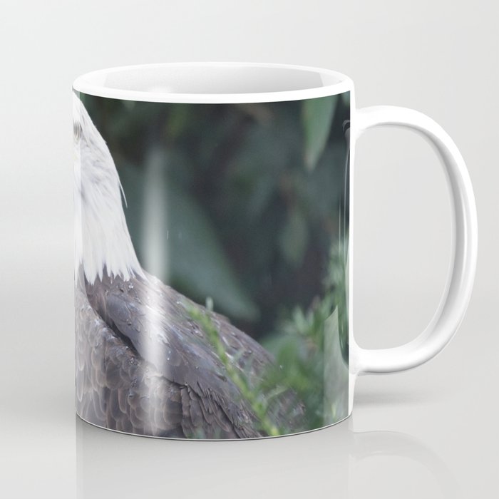 National Aviary - Pittsburgh - Bald Eagle 3 Coffee Mug