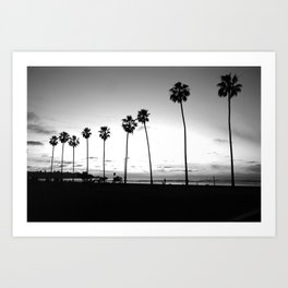 Palm Trees #651 Art Print