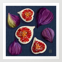 Figs - Digital Illustration Art Print