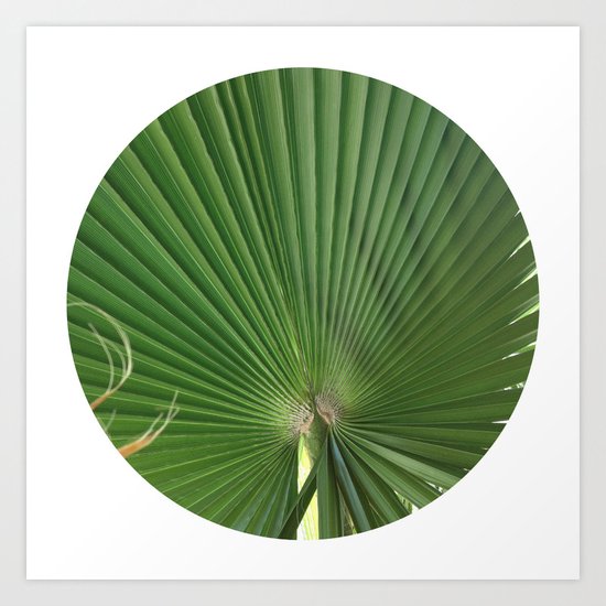 Palm Frond (circle week) Art Print