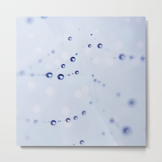 Captured Metal Print