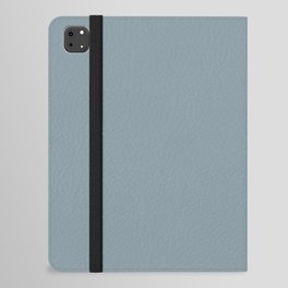 Light Slate Gray iPad Folio Case