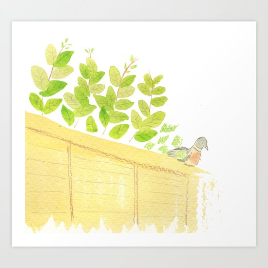 Pigeon in garden Art Print