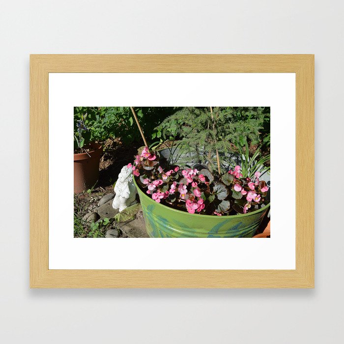 Sun kissed Garden Angel and Begonias Framed Art Print